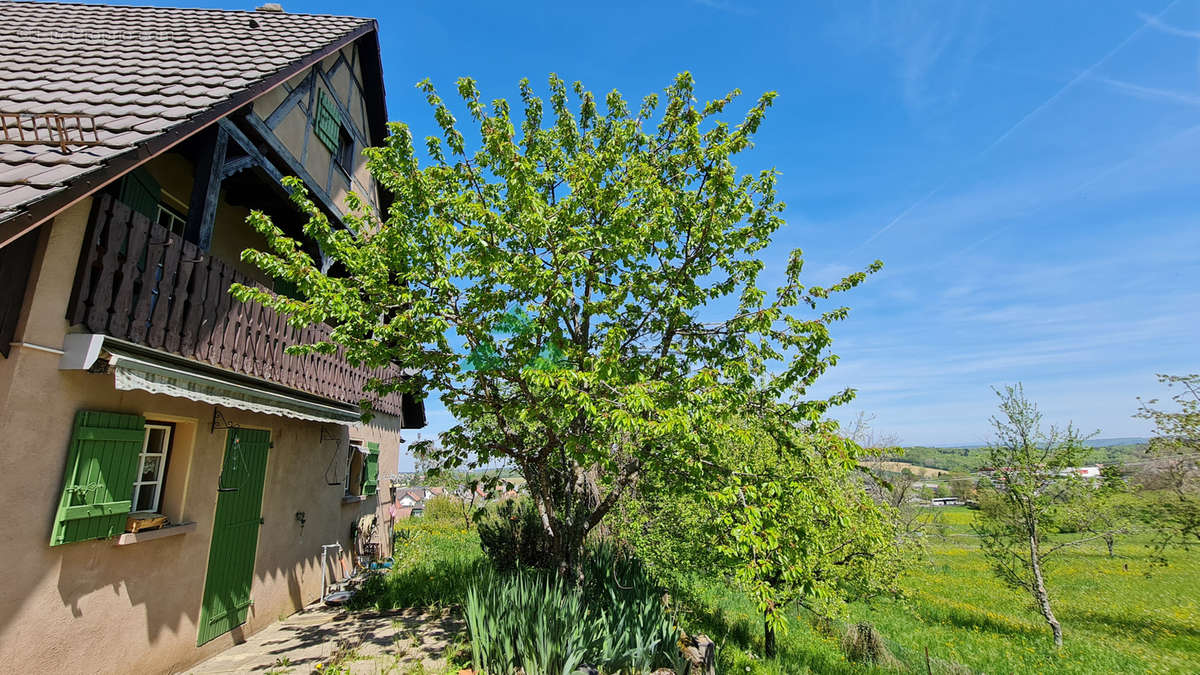 Maison à VIEUX-FERRETTE