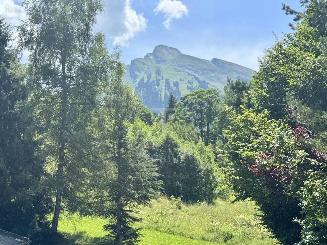 Terrain à LA CLUSAZ