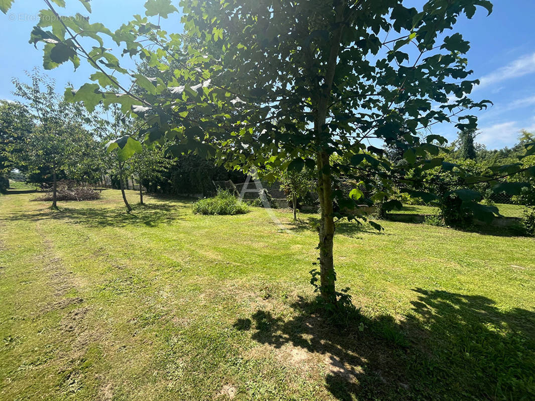 Terrain à DOURDAN