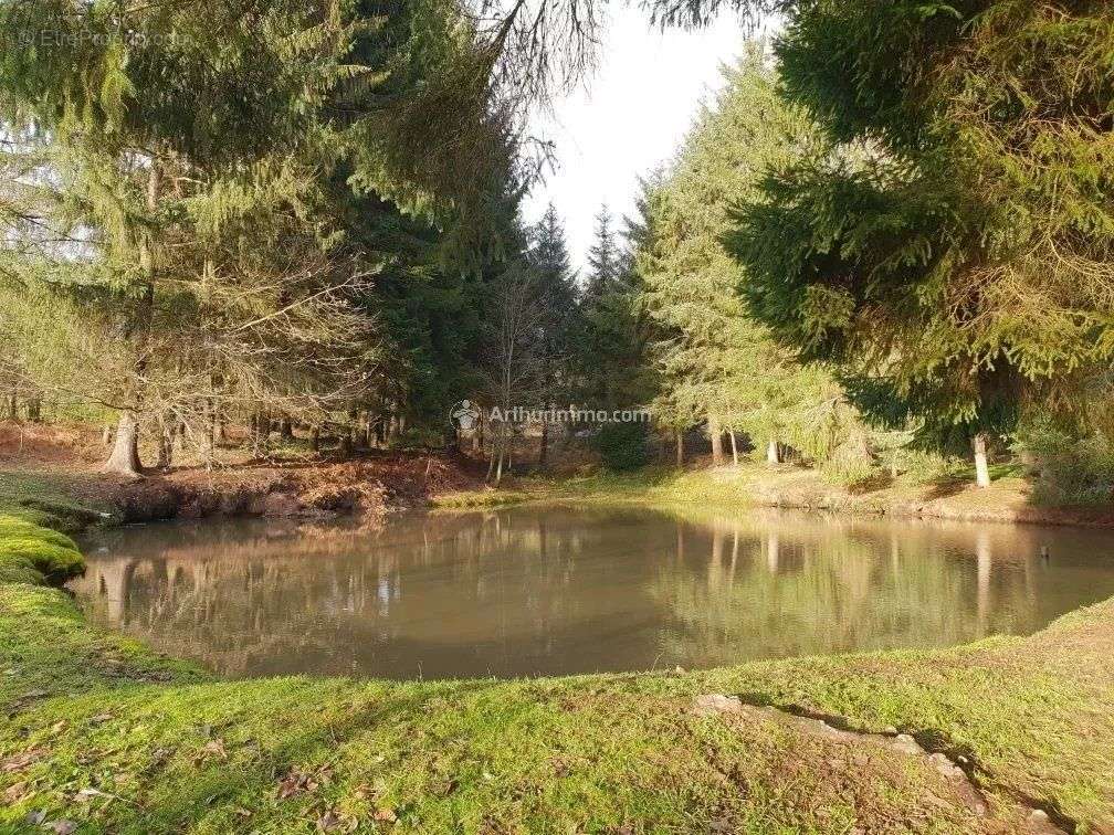 Terrain à LOUPFOUGERES