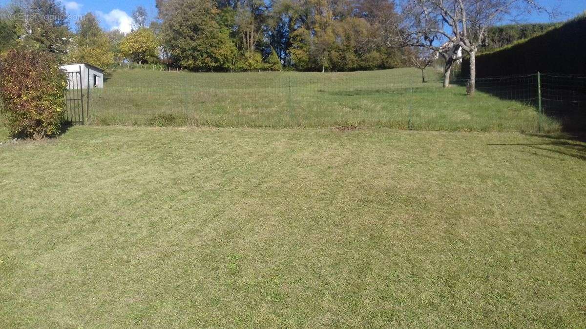 Terrain à LES ORMES