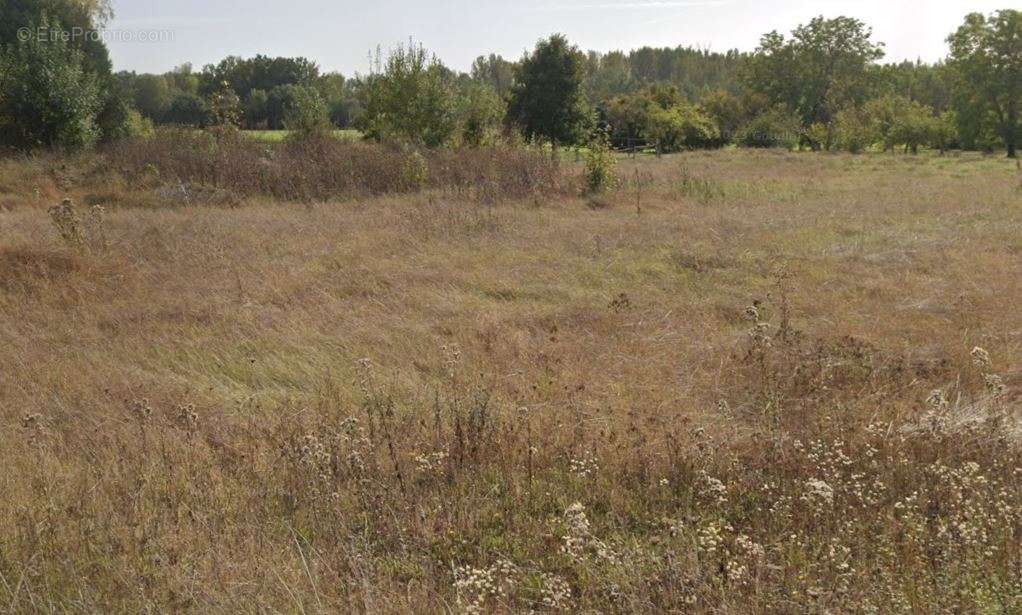 Terrain à SAINT-DYE-SUR-LOIRE