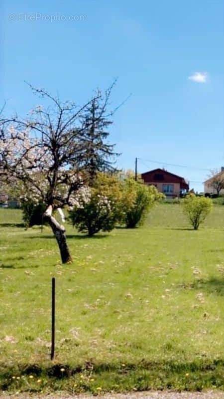 Terrain à VENDEUVRE-DU-POITOU