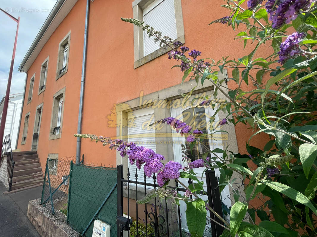 Appartement à LUXEUIL-LES-BAINS