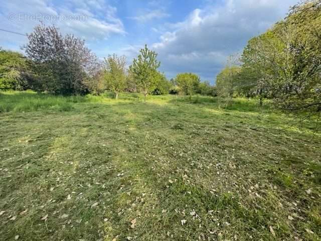 Terrain à BONNEUIL-MATOURS