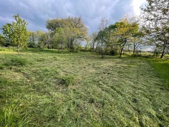 Terrain à BONNEUIL-MATOURS