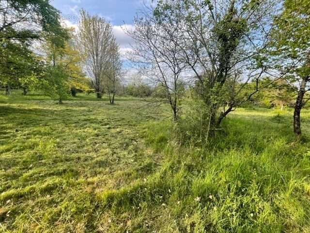 Terrain à BONNEUIL-MATOURS