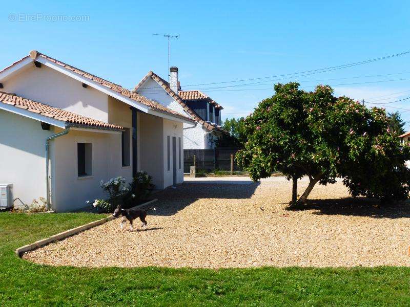 Maison à CAMPS-SUR-L&#039;ISLE