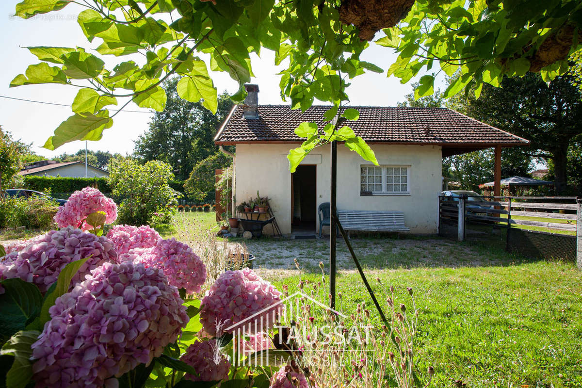 Maison à AUDENGE