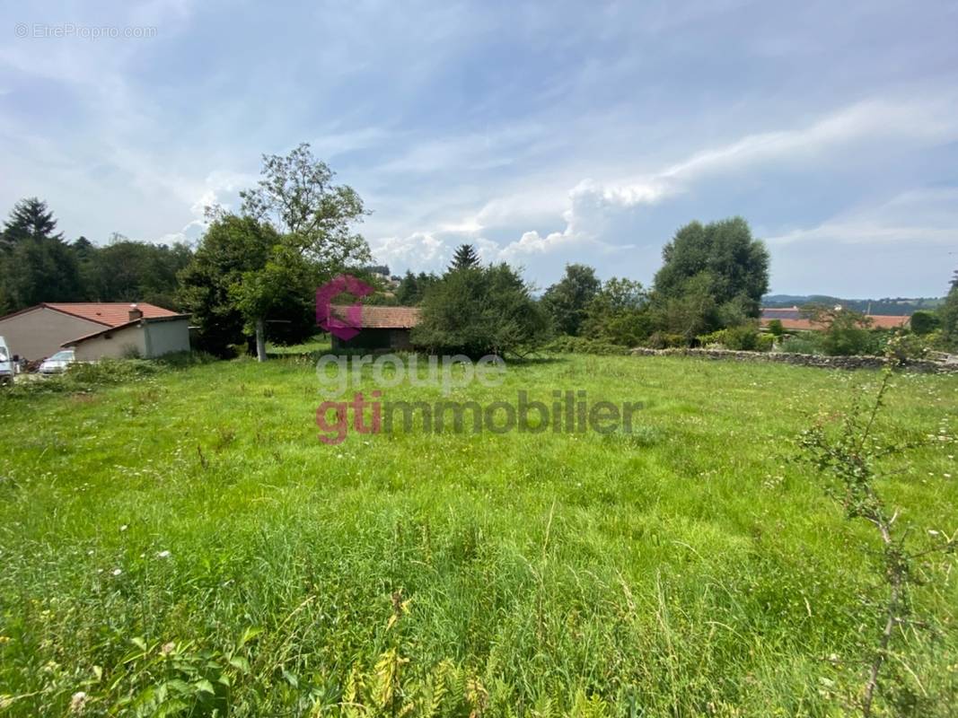 Terrain à LE CHAMBON-FEUGEROLLES