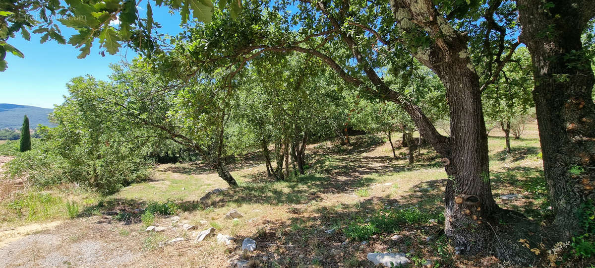 Terrain à MOULES-ET-BAUCELS