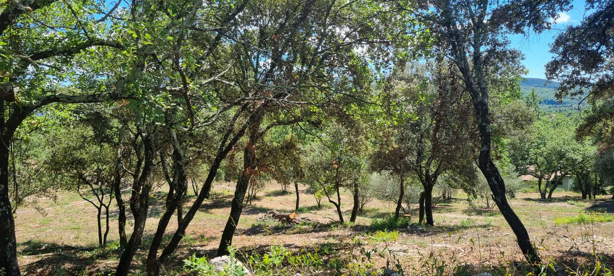 Terrain à MOULES-ET-BAUCELS