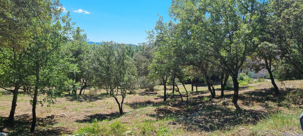 Terrain à MOULES-ET-BAUCELS