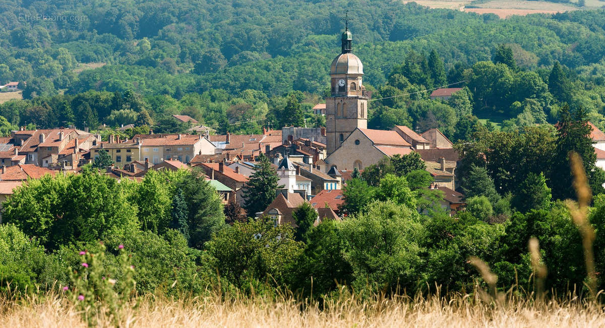 Terrain à SAINT-AMOUR