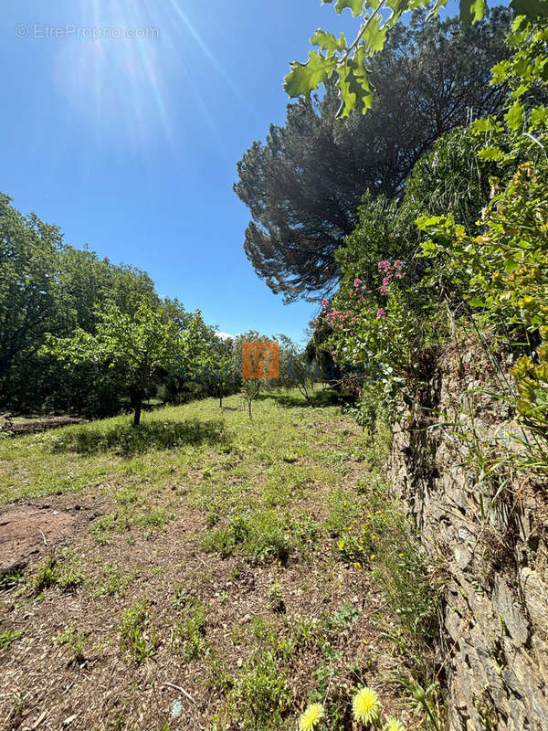 Maison à LA GARDE-FREINET