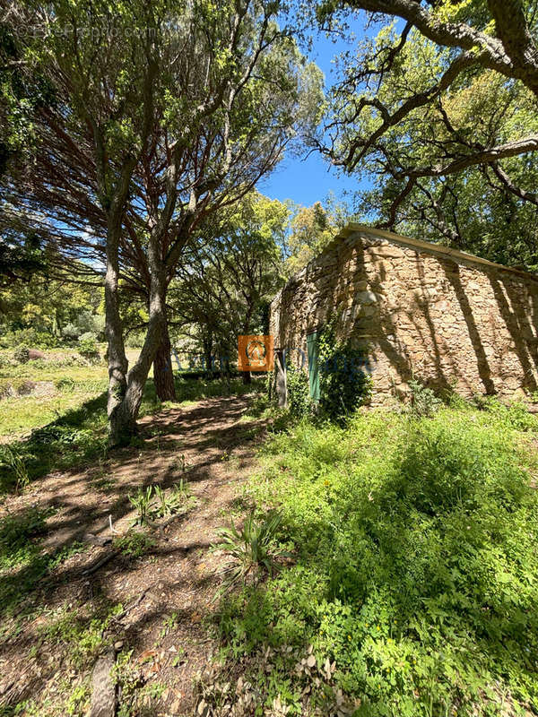 Maison à LA GARDE-FREINET