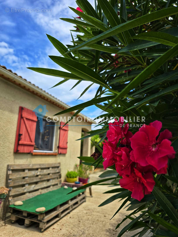 Maison à SAINT-JULIEN-LES-ROSIERS