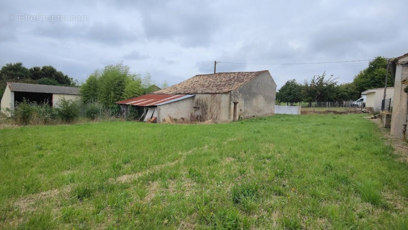 Terrain à SAINT-PALAIS