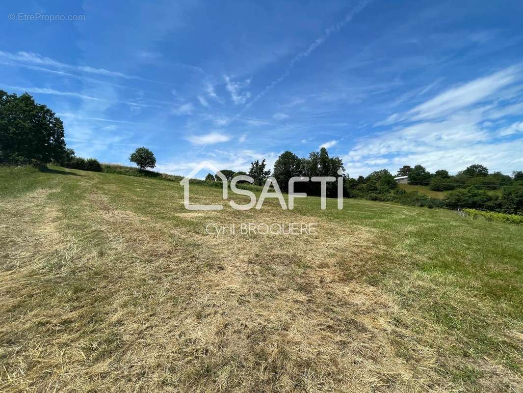 Photo 3 - Terrain à MOISSAC