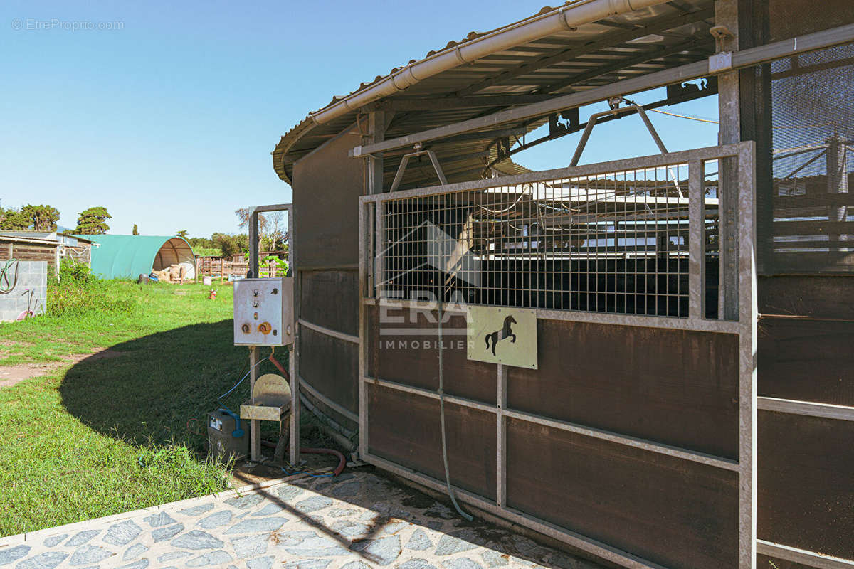 Autre à CASTELLARE-DI-CASINCA