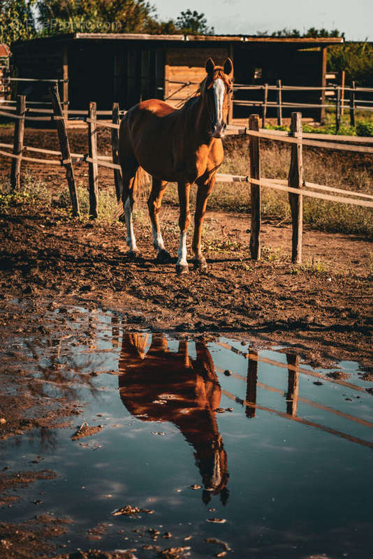 Autre à CASTELLARE-DI-CASINCA