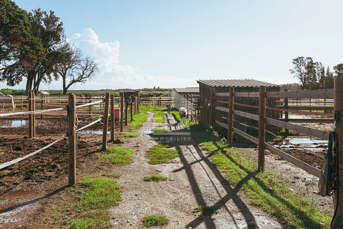 Autre à CASTELLARE-DI-CASINCA