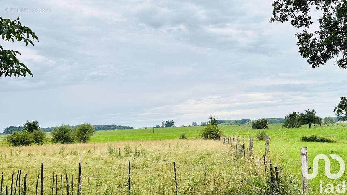 Photo 9 - Maison à FRANCALTROFF