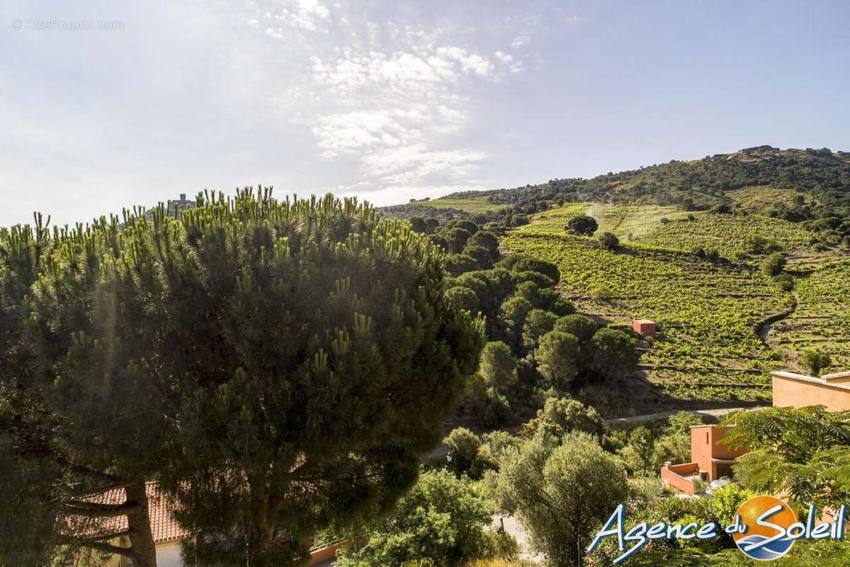 Appartement à COLLIOURE