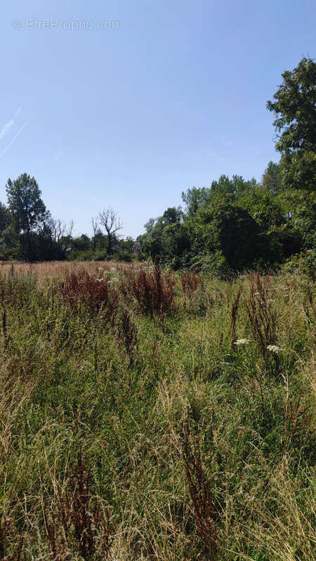 Terrain à SAINT-JOSSE