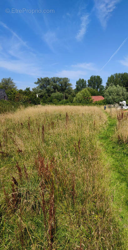 Terrain à SAINT-JOSSE