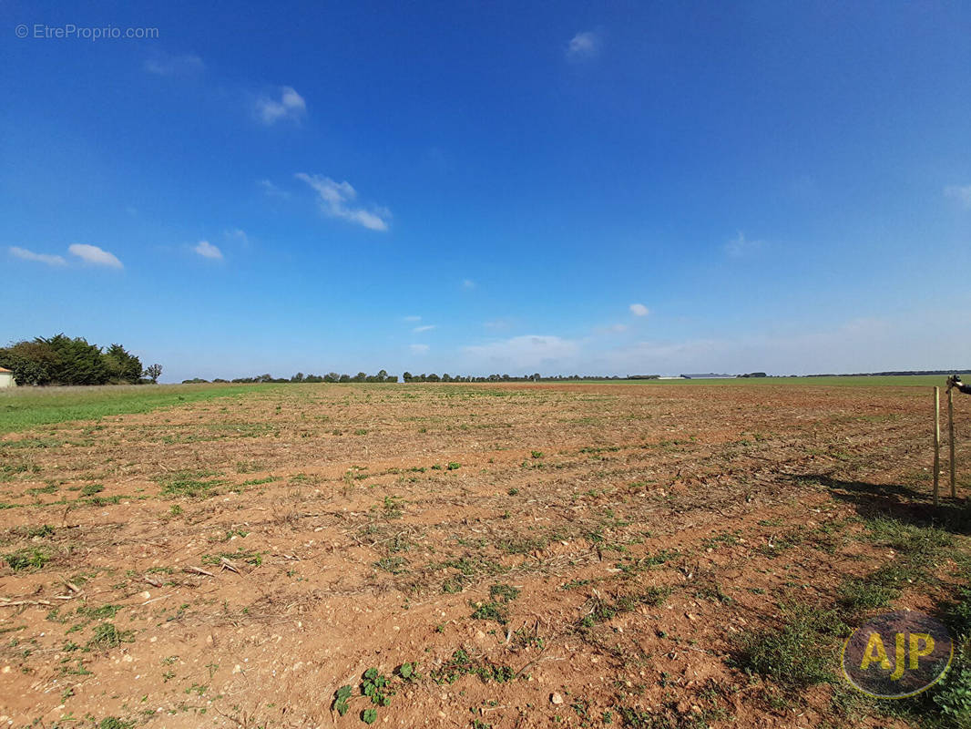 Terrain à SAINT-AUBIN-LA-PLAINE