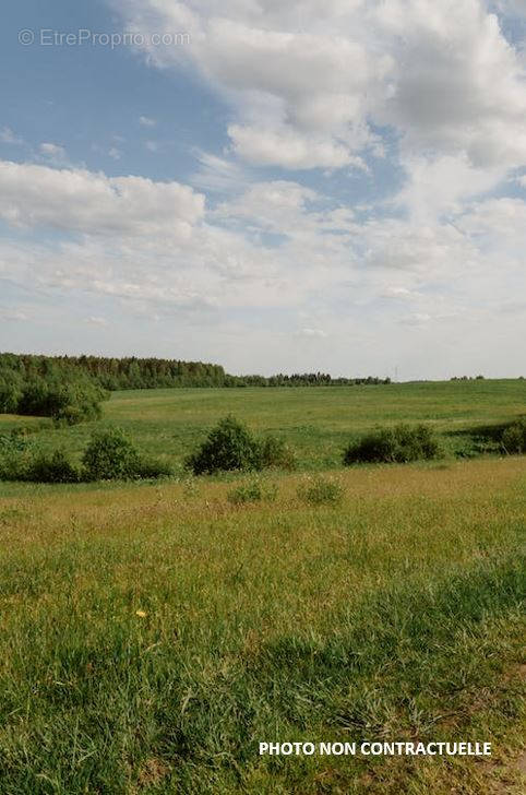 Terrain à CAVANAC