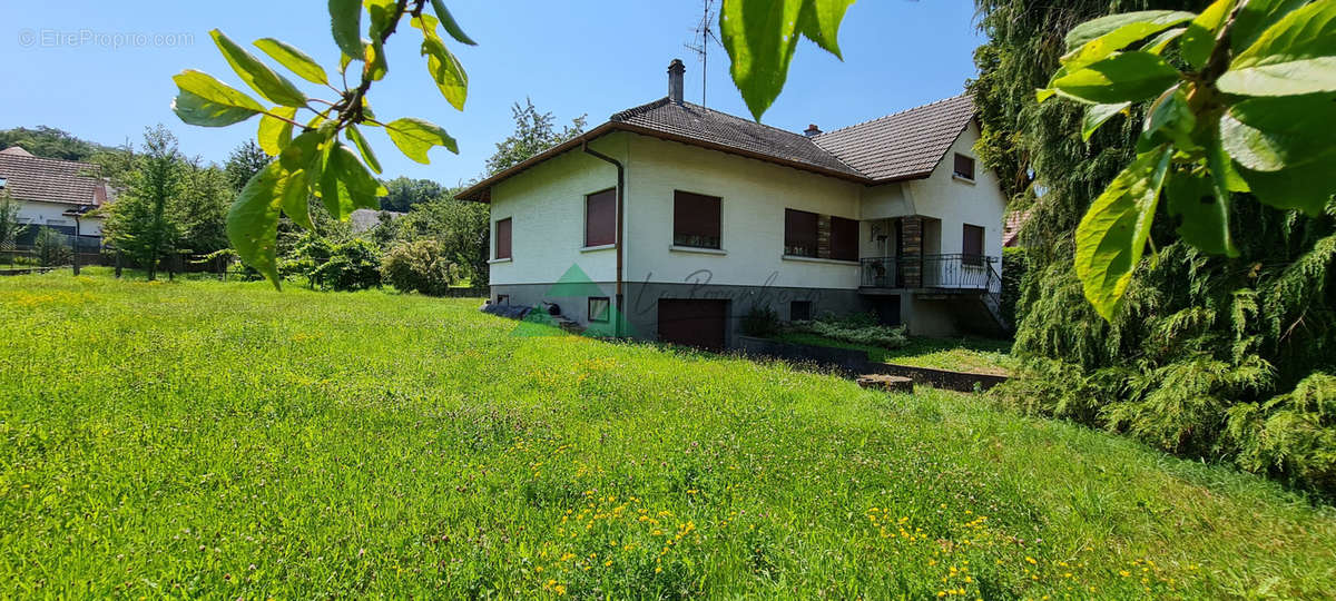 Maison à WITTERSDORF