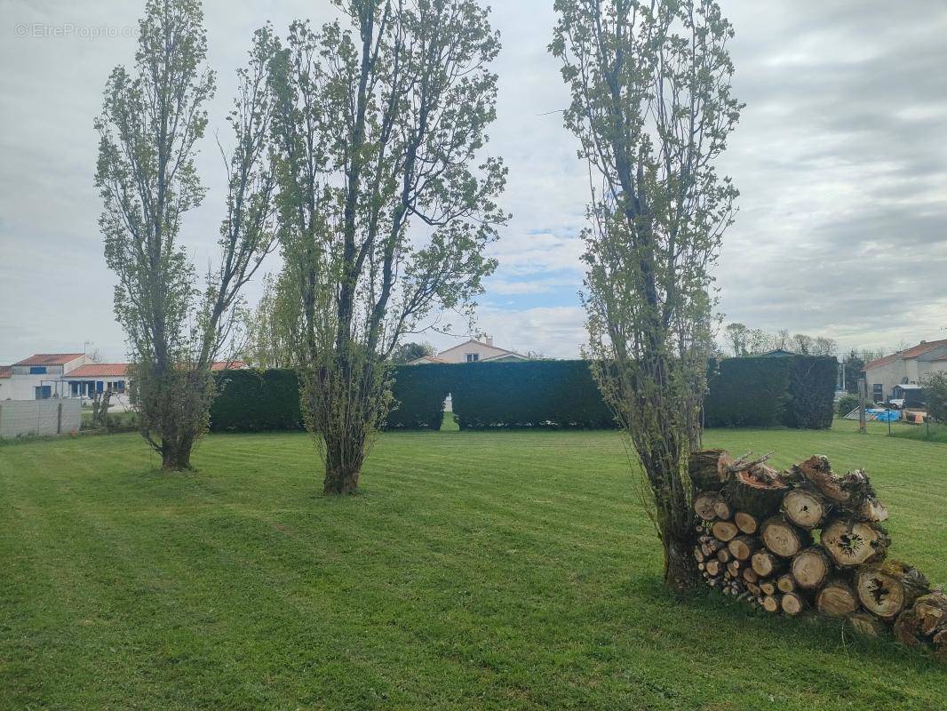 Terrain à LOIRE-LES-MARAIS