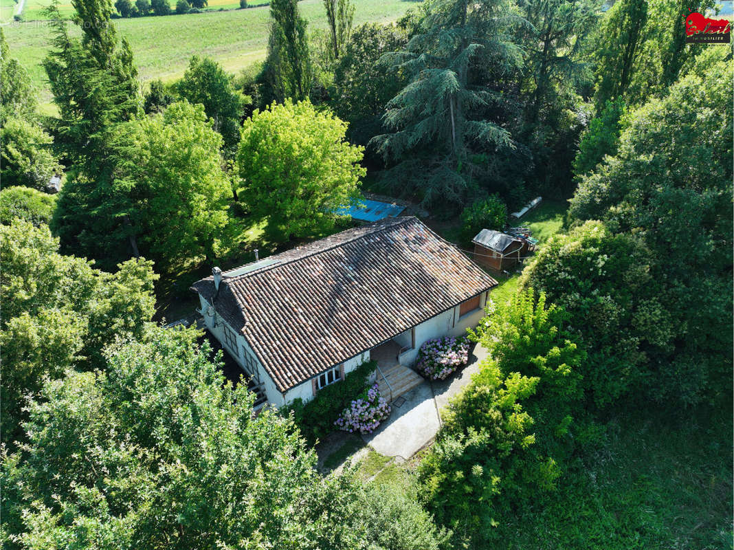 Maison à MONTASTRUC