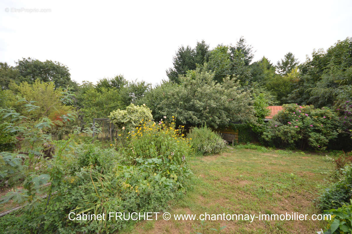 Maison à CHANTONNAY