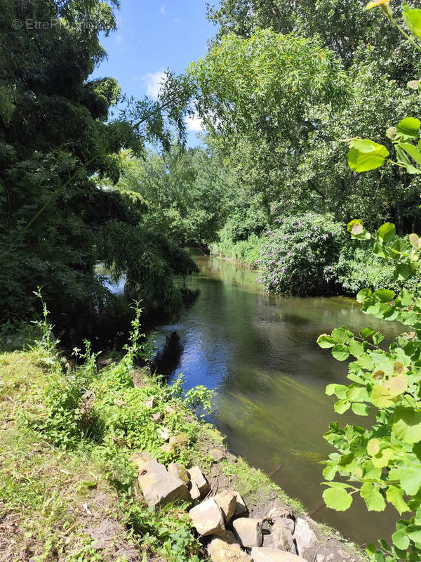 Terrain à VAYRES-SUR-ESSONNE