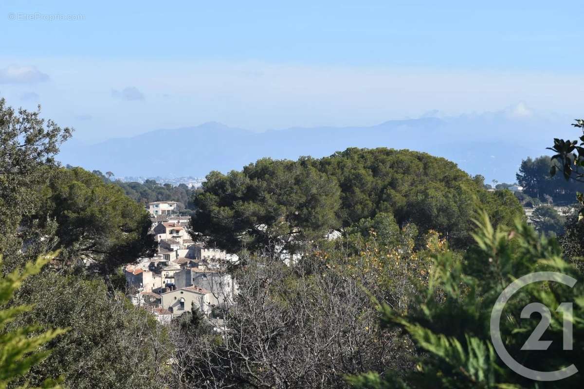 Maison à BIOT