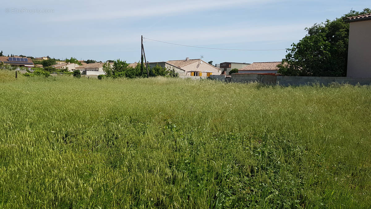 Terrain à FABREZAN