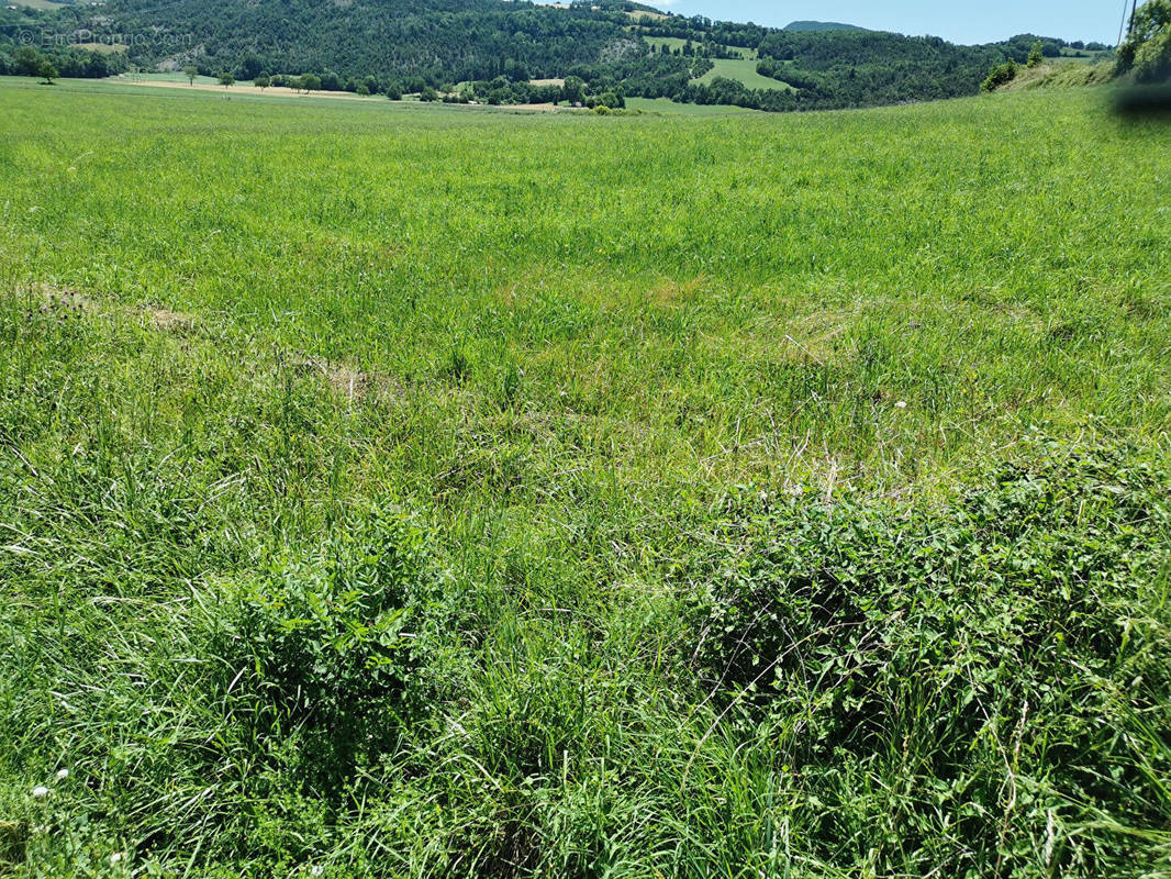 Terrain à GAP