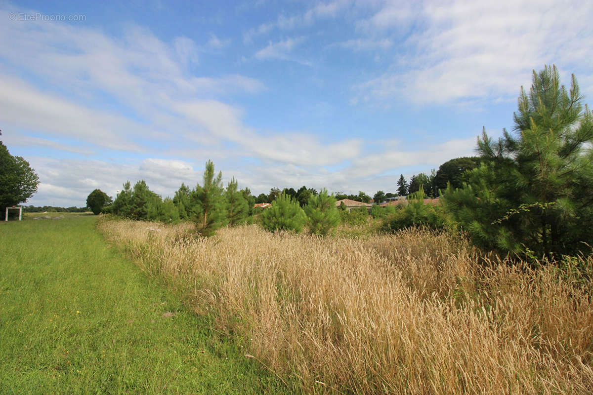 Terrain à SEIGNOSSE