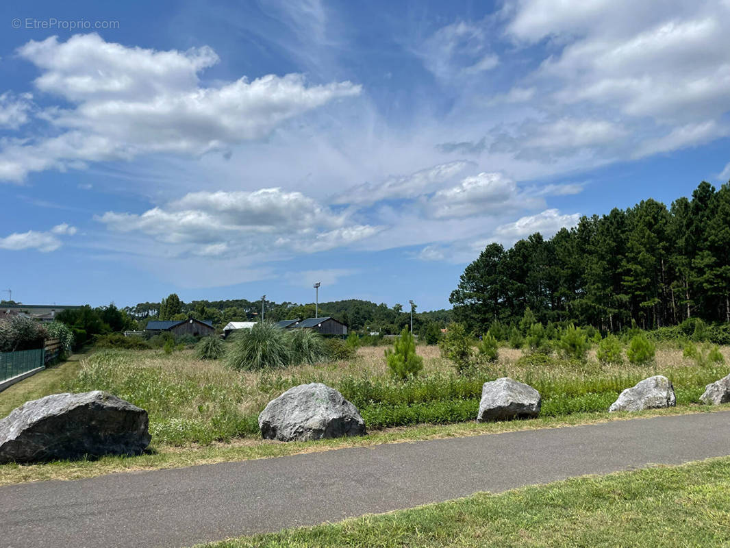 Terrain à SEIGNOSSE