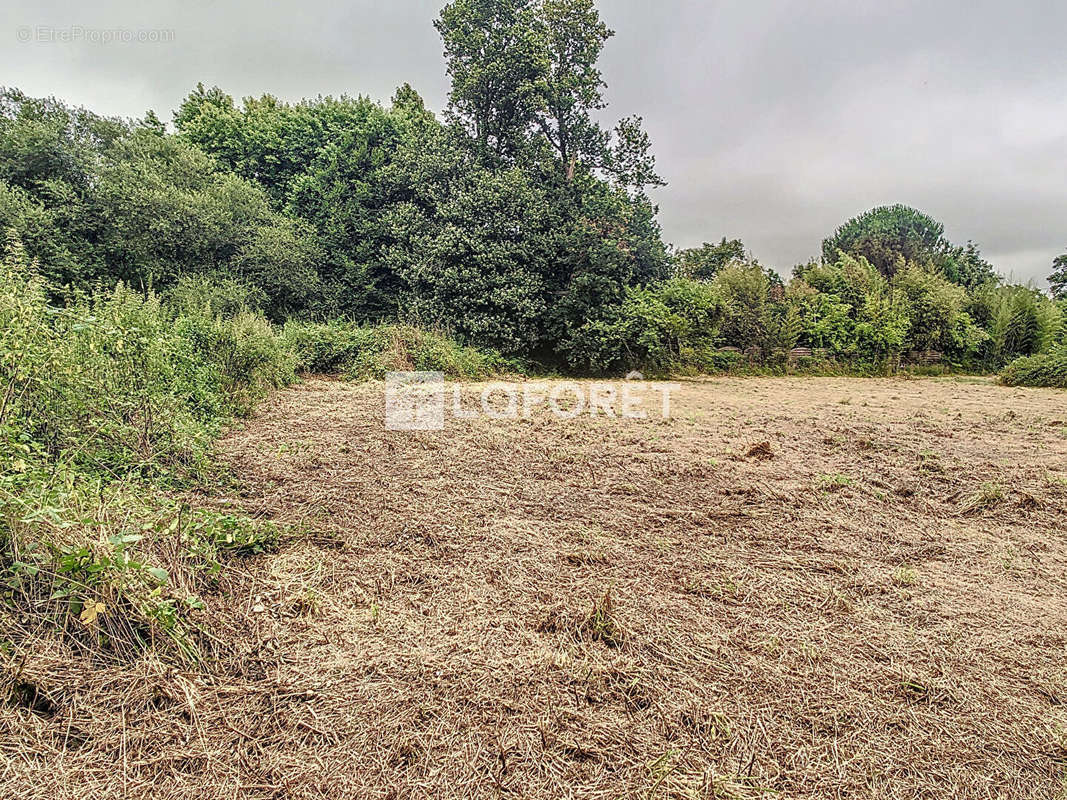 Terrain à GUER