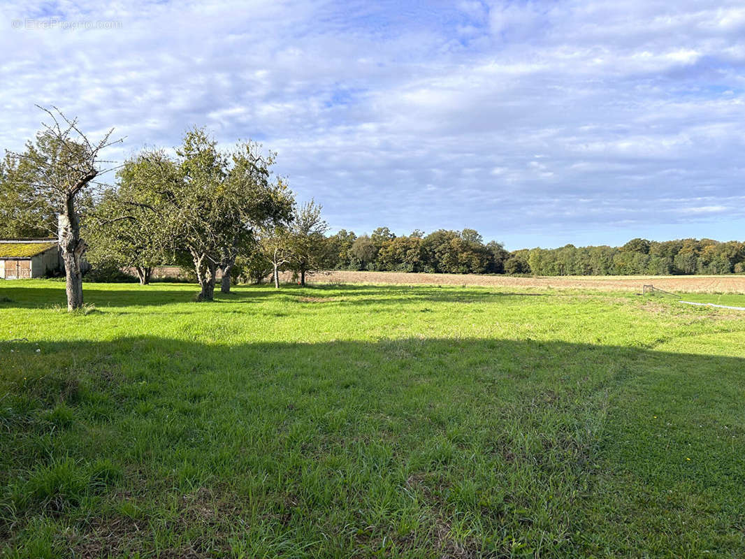 Terrain à CAUGE