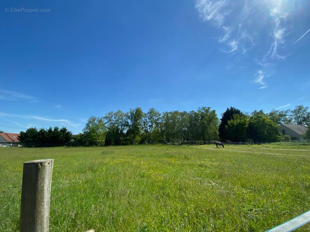 Terrain à SAINT-GEORGES-SUR-CHER