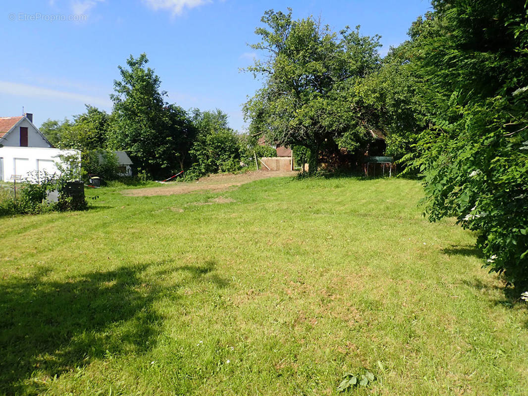 Terrain à FONTAINE-LA-MALLET