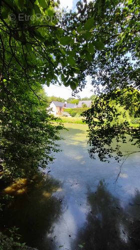 Maison à SENS-DE-BRETAGNE