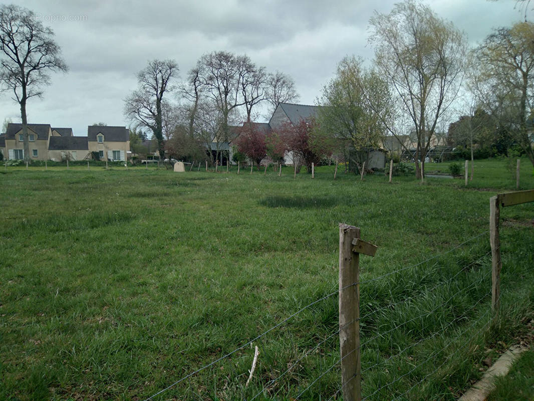 Terrain à BONNEMAIN