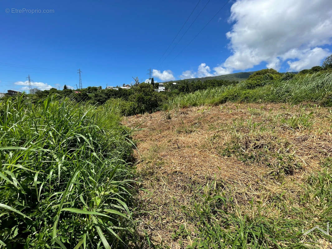 Terrain à SAINT-DENIS