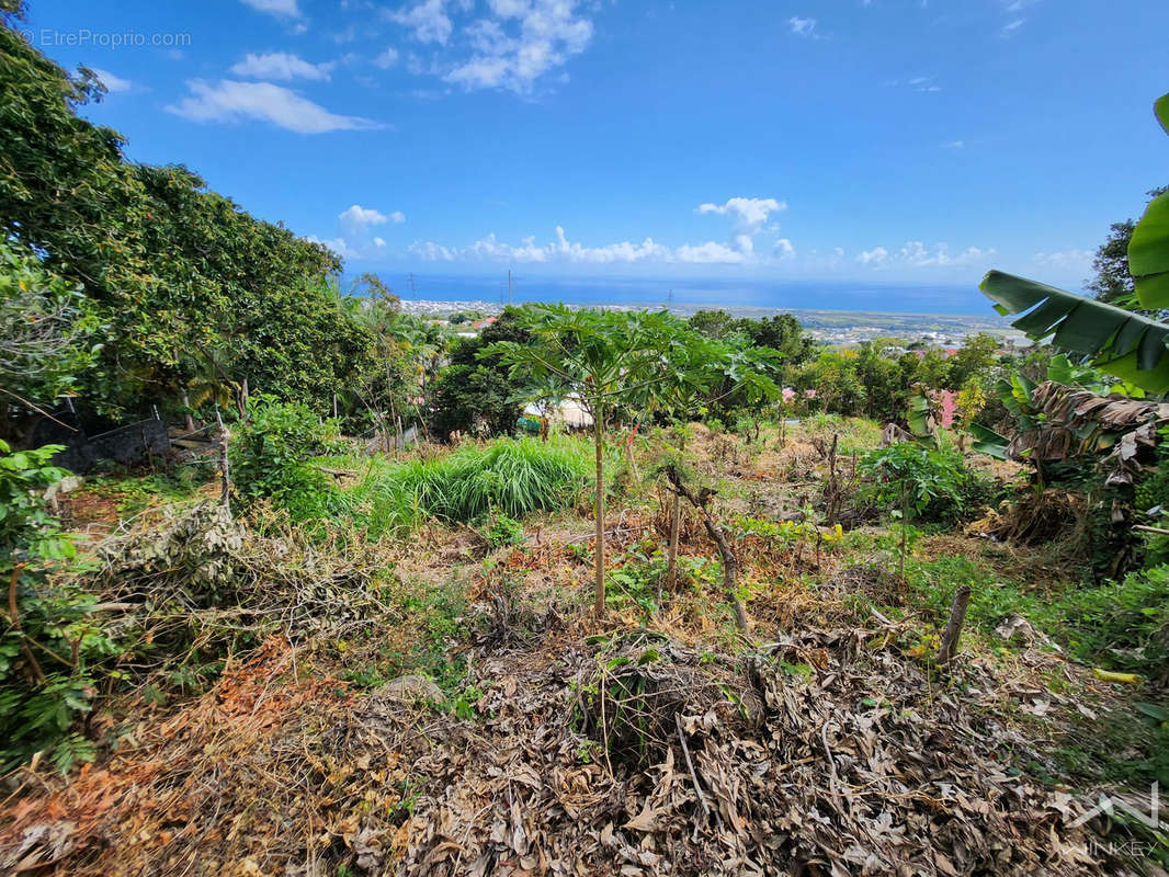 Terrain à SAINT-DENIS